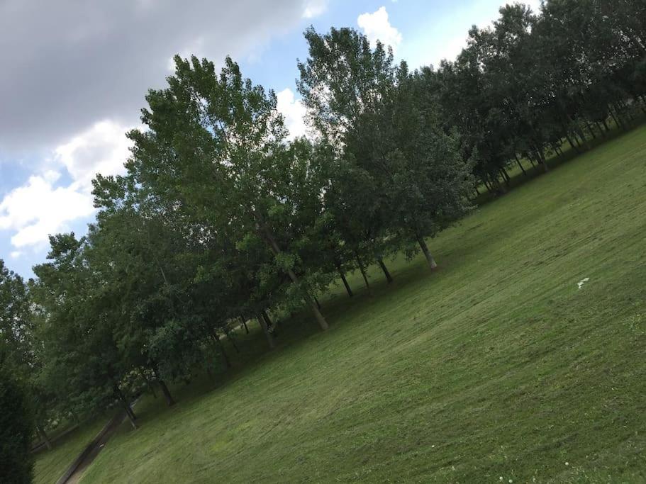 Flat Overlooking The Park